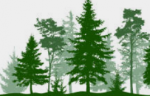 foret.png